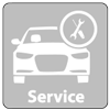Annual Service